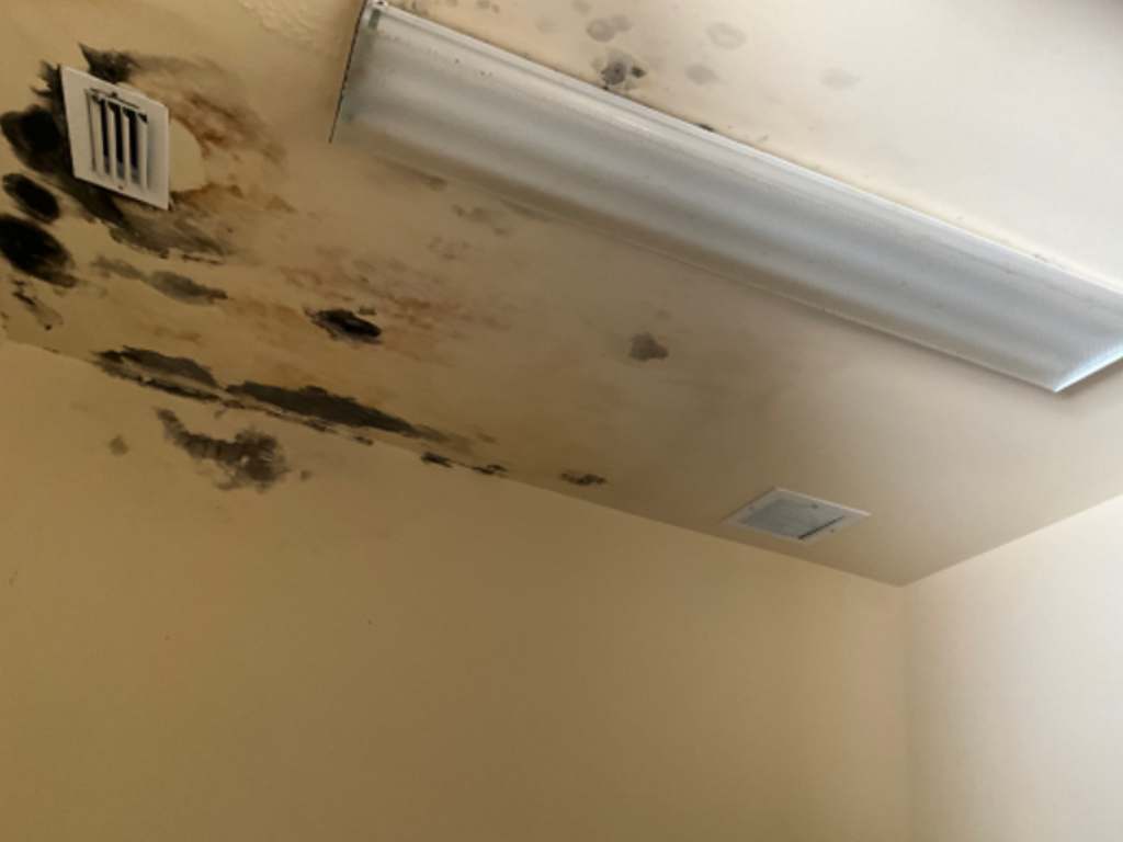 Moldy ceiling with discoloration and stains near an air vent and fluorescent light fixture in a dimly lit room.